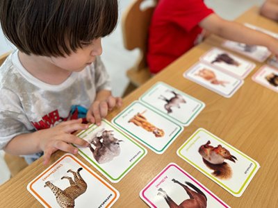 Yabancı Dil Eğitimi